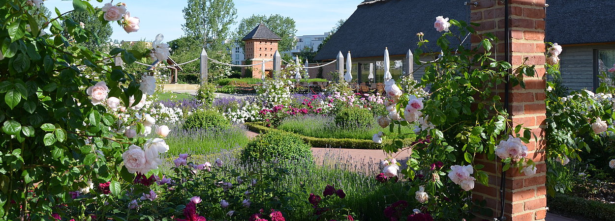 Blick auf Blumen und Teehaus im Englischen Landschaftsgarten in den Gärten der Welt