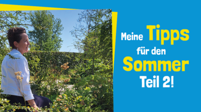 Headerbild mit einem Foto von Beate Reuber und dem Text "Meine Tipps für den Sommer Teil 2"