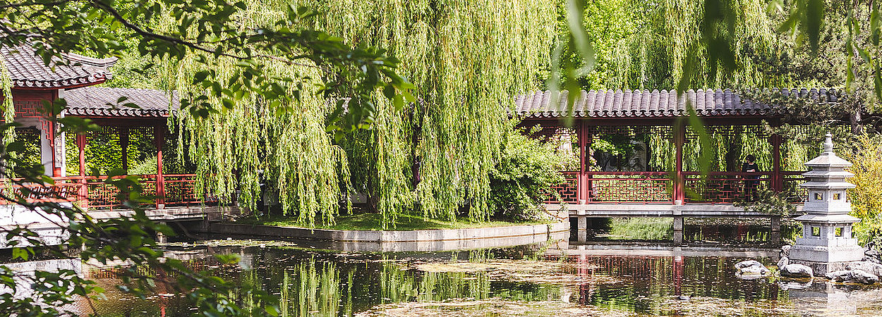 See im Chinesischen Garten in den Gärten der Welt